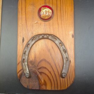 Rustic Brown Horseshoe Wall Decor